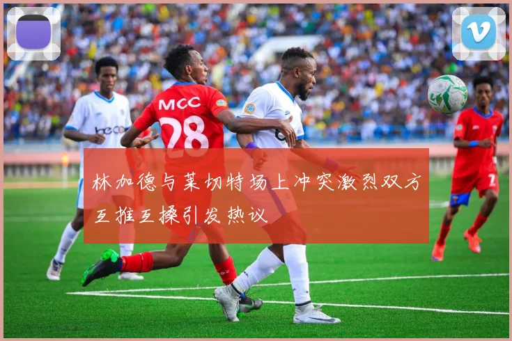 林加德与莱切特场上冲突激烈双方互推互搡引发热议