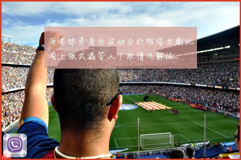 海港球员身价波动分析维塔尔蒯纪闻上涨武磊等人下跌情况解读
