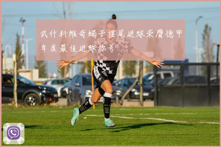 武什科维奇蝎子摆尾进球荣膺德甲年度最佳进球称号